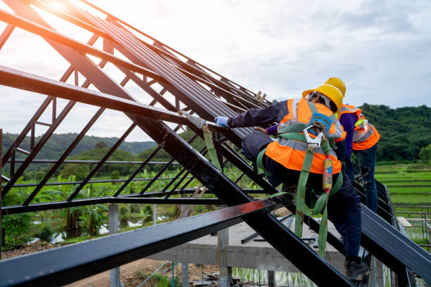 Best Sealant for Roof  in Frankfort, MI