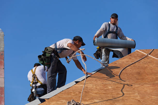 Best Flat Roof Repair Services  in Frankfort, MI