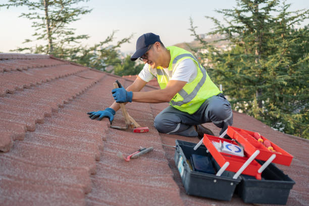 Best Metal Roofing Contractor  in Frankfort, MI