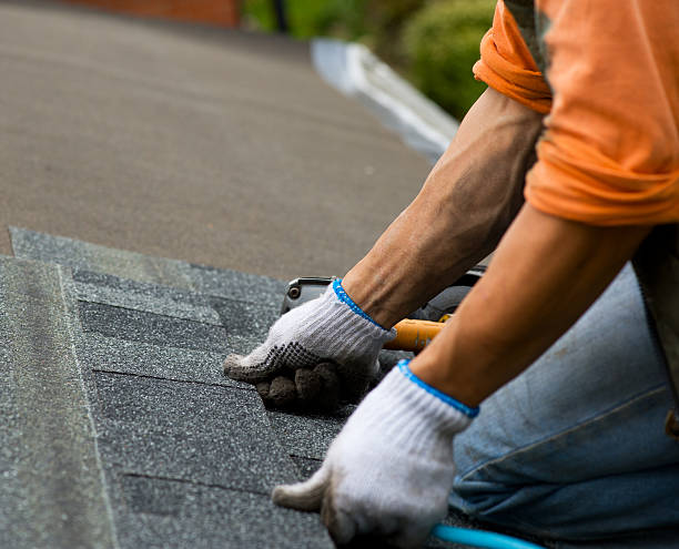 Best Emergency Roof Repair  in Frankfort, MI
