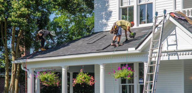 Best Roof Leak Repair  in Frankfort, MI