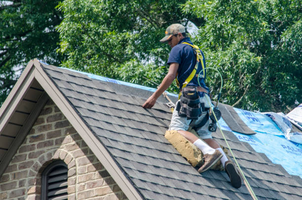 Best Roof Maintenance Services  in Frankfort, MI