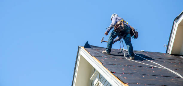Best Local Roofing Companies  in Frankfort, MI